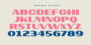 Hoodie, a Sans Serif Font by TypeUnion (Thumbnail 9 of 12)