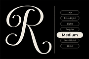 Dh Finola - 7 Elegant Serif Fonts, a Serif Font by Dharmas Foundry (Thumbnail 3 of 14)