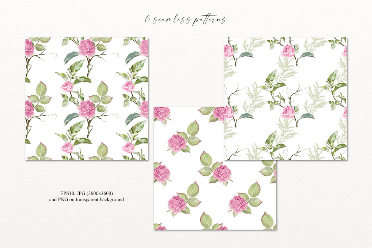 Blooming roses, an Illustration by Vasmila (Photo 8 of 14)