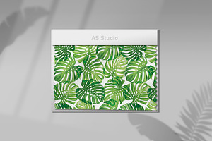 Vector Pattern. Monstera.