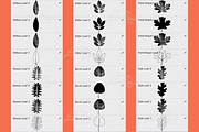 42 Procreate Leaves Brushes Set, a Brush Add-On by LiuBi Art (Thumbnail 3 of 3)
