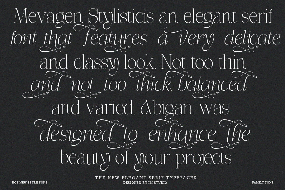 Effidhem Mevagen | 18 Font Files, a Serif Font by IM Studio (Photo 3 of 14)