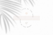 Francie Font Duo, a Serif Font by Ivan Rosenberg (Thumbnail 11 of 14)