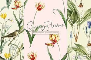 SPRING FLOWERS SEAMLESS PATTERNS