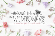 Among The Wildflowers | Font Duo, a Font by Callie Rian & Co. (Thumbnail 1 of 14)