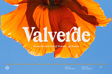 Valverde Functional Serif-36 Fonts