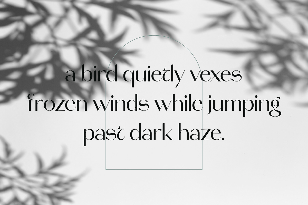 Molgeth - Aesthetic Sans Serif, a Sans Serif Font by Variatype (Photo 11 of 15)