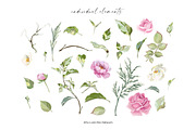 Blooming roses, an Illustration by Vasmila (Thumbnail 5 of 14)