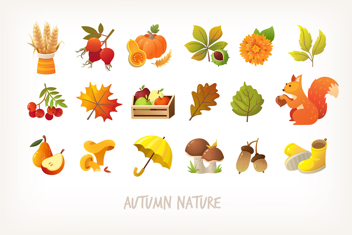 Colourful Autumn Icons Set, a Graphic by Moonery's (Photo 2 of 5)