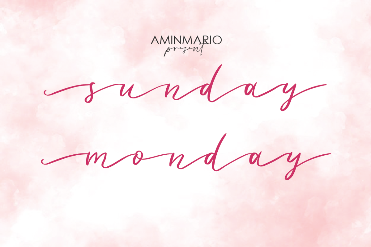 Lovely Script Bundle 20 Fonts, a Script Font by AMINMARIO (Photo 20 of 21)