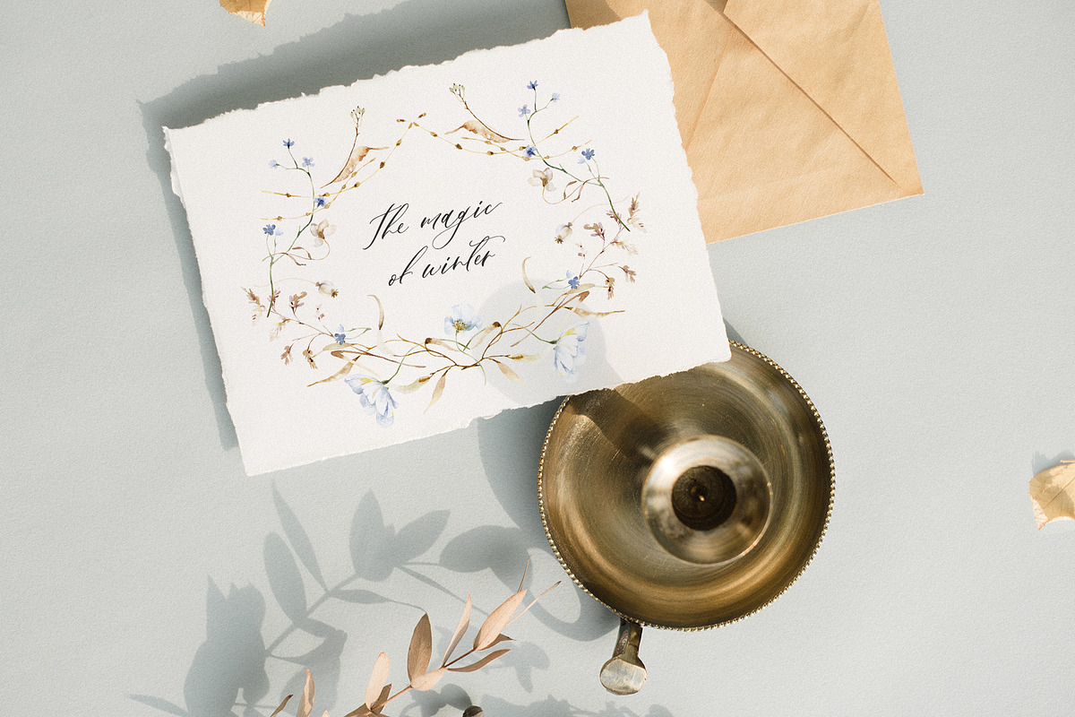 Cold season - watercolor wildflowers, a Decorative Illustration by Pamyatka Shop (Photo 15 of 18)