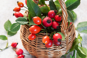 Wicker basket overflowing with freshly picked rose hips and gree, a Food & Drink Photo by Olena Rudo