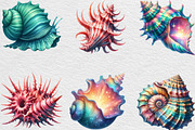 Watercolor Colorful Sea Shell Clipar, an Illustration by Black Bird Studio (Thumbnail 4 of 4)