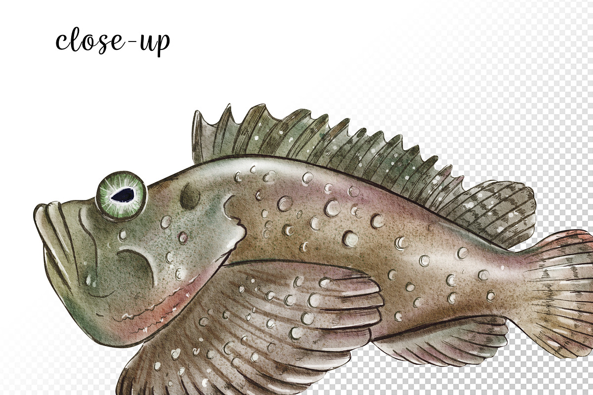 Watercolor Australia Animals Clipart, an Animal Illustration by svetodesign (Photo 5 of 9)