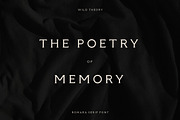 Romara | Elegant & Modern Serif Font, a Font by Wild Theory (Thumbnail 6 of 16)