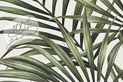 Pink Tropical Seamless Pattern, a Pattern Graphic by Bigio Designs (Thumbnail 8 of 8)
