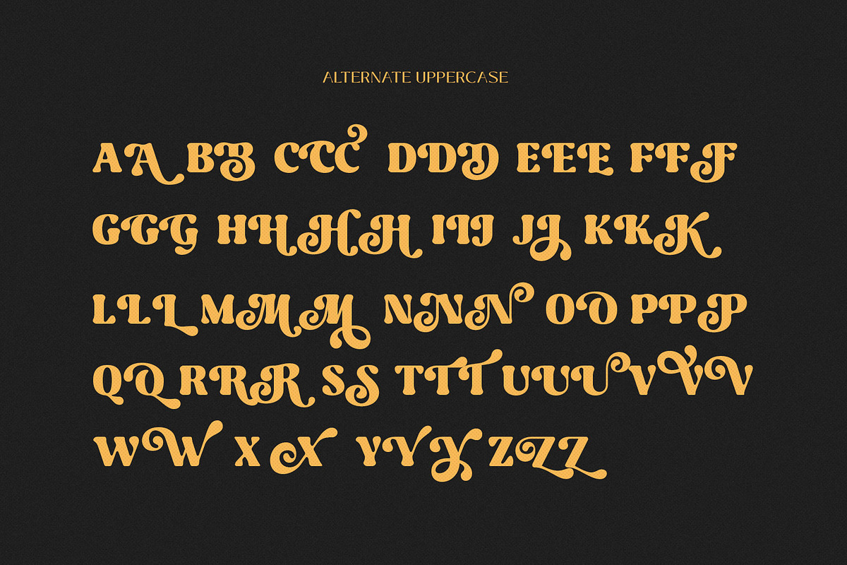 Retro Pica - Bold Decorative Serif, a Serif Font by creativemedialab (Photo 6 of 13)