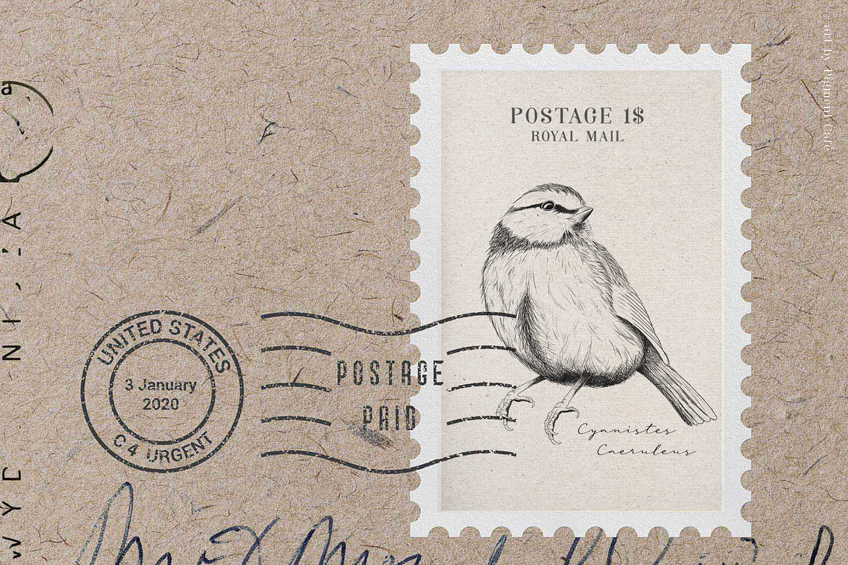 Small Birds hand drawn graphics, an Illustration by Pigment Café (Photo 2 of 4)