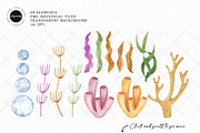 Sea Animals Watercolor Clipart, an Illustration by Gau Silva Studio (Thumbnail 3 of 4)