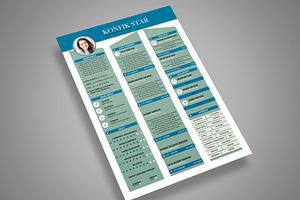 Professional Resume CV 3 Colors