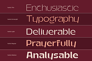 Vankis Font Family, a Sans Serif Font by zeenesia (Thumbnail 13 of 21)