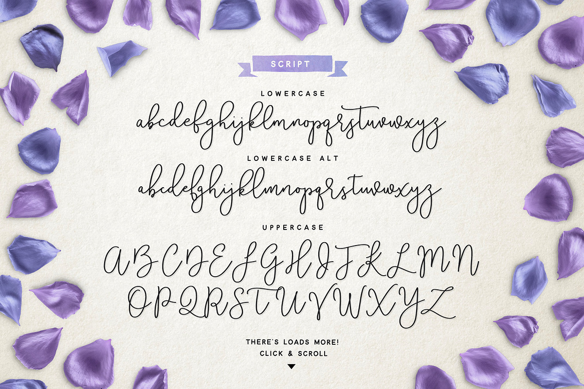 Violetta Font Pack preview 7