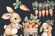 Carrot Easter Clipart 47 PNG, 5 JPG, a Seasonal Illustration by EleSArtDesign (Thumbnail 4 of 5)