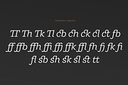 Ulises, a Font by W Type Foundry (Thumbnail 9 of 13)