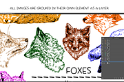 Foxes - vector illustration set, an Animal Illustration by Renée from Studio neetje (Thumbnail 4 of 4)