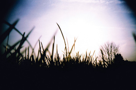 The Great Outdoors Containing Outdoors Landscape And Soil preview 5