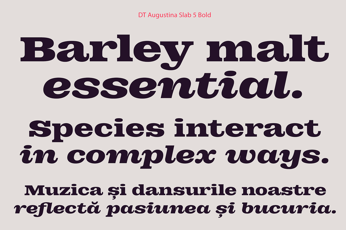 DT Augustina Slab 5 Subfamily, a Slab Serif Font by Deveze Type Foundry (Photo 14 of 31)