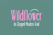 WILDFLOWER Modern Font