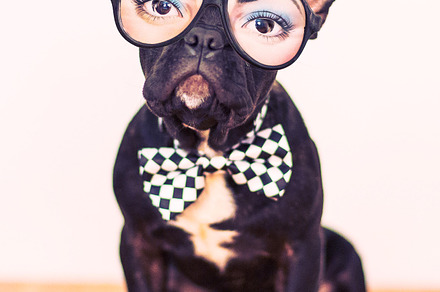I can see you stock picture