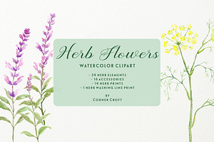 Watercolor Herb Flower Clipart