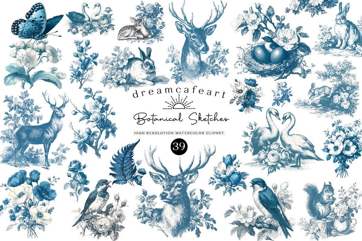 Vintage Clipart Botanical Sketches, an Illustration by DreamCafeArt (Photo 1 of 6)