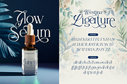 Westina, a Serif Font by Burntilldead (Thumbnail 10 of 12)