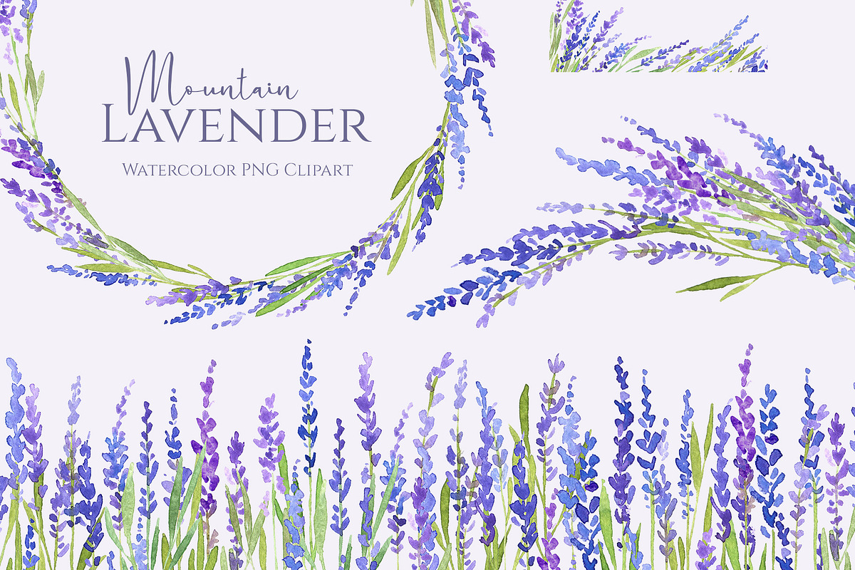 Watercolor Lavender Flowers Png, an Illustration by GraphicsDish (Photo 1 of 4)