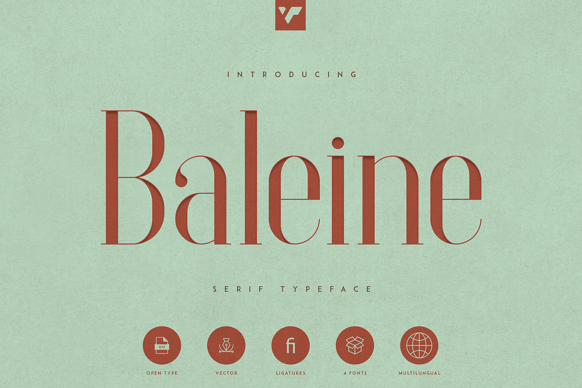 Baleine - Serif Typeface | 4 weights