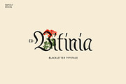 ED Vitinia, a Blackletter Font by Emyself Design (Thumbnail 1 of 10)