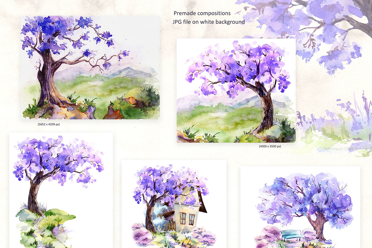 Blooming Jacaranda tree Watercolor, an Object Graphic by ON_lineart_store (Photo 7 of 9)