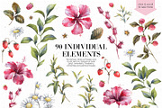 Aroma tea collection, a Decorative Illustration by Anastasia Koba (Thumbnail 6 of 14)