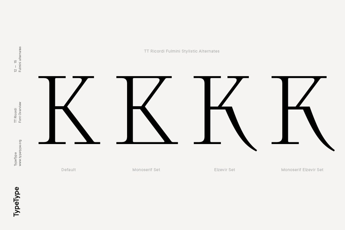 TT Ricordi, a Serif Font by TypeType (Photo 12 of 15)