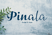 Pinala, a Script Font by Typomancer (Thumbnail 1 of 6)