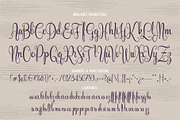 Cidrella script & graphics, a Script Font by Gleb Guralnyk (Thumbnail 4 of 6)