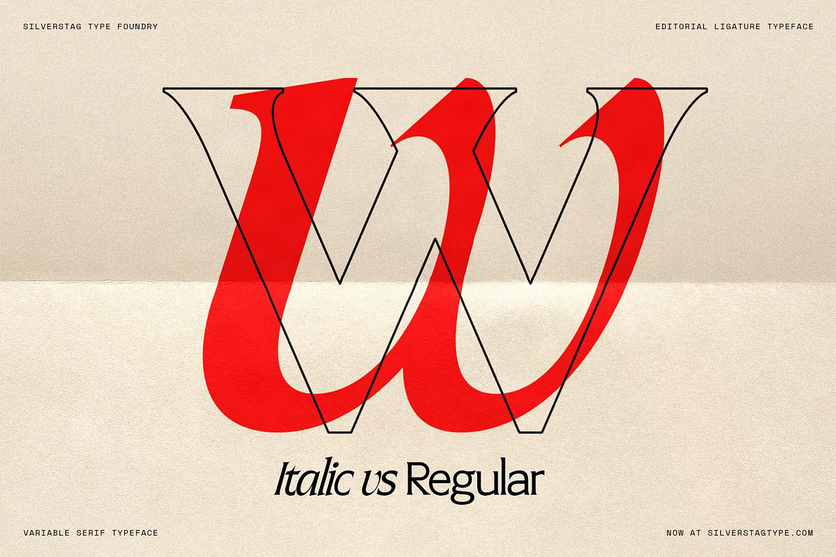 Arcilla — Variable Editorial Serif, a Serif Font by SilverStag Type Foundry (Photo 10 of 31)