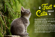 Mellifret script font, a Script Font by Java pep (Thumbnail 9 of 11)