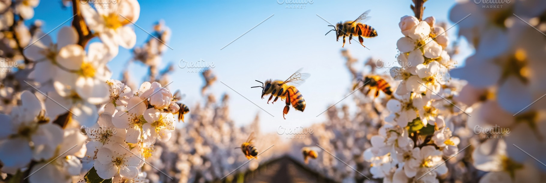 Spring Orchard with Bees Pollinating, a Nature Photo by Virgo Studio