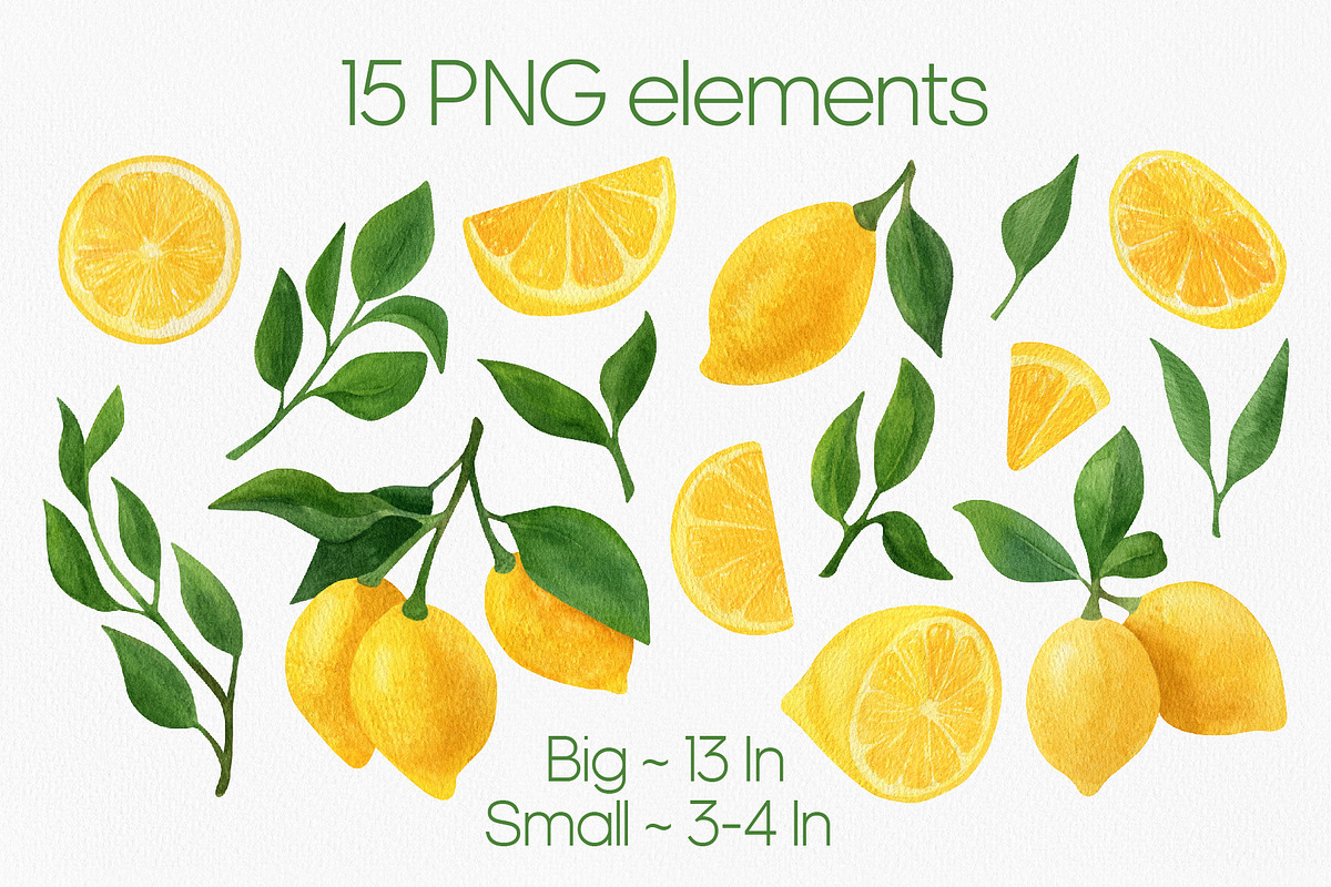 Lemon fruit watercolor clipart, a Decorative Illustration by Anntre (Photo 2 of 4)
