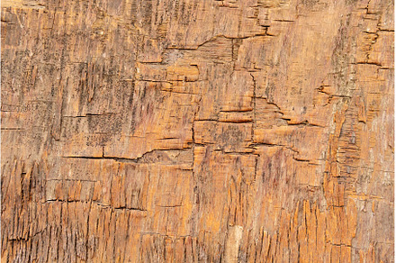 wooden background from old printed, an Abstract Photo by darksoul72
