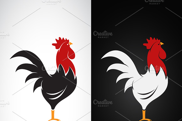 Vector Of A Cock Design. Animals.